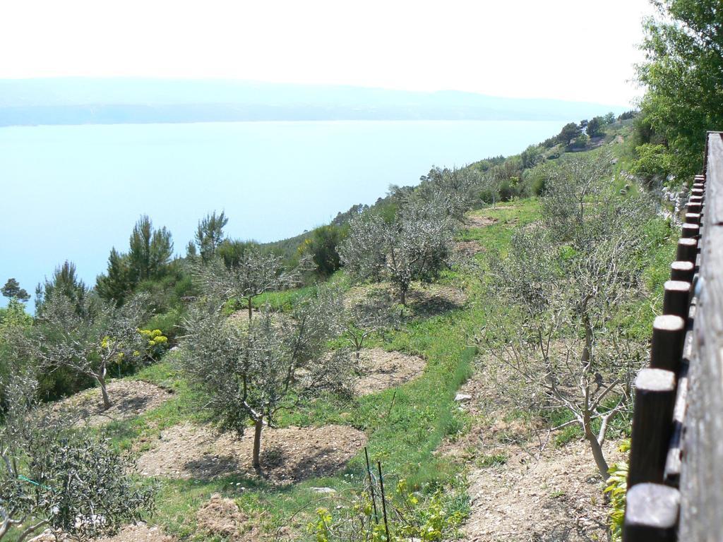 Charismatic Garden Cottage With Sea View Lokva Rogoznica Bagian luar foto